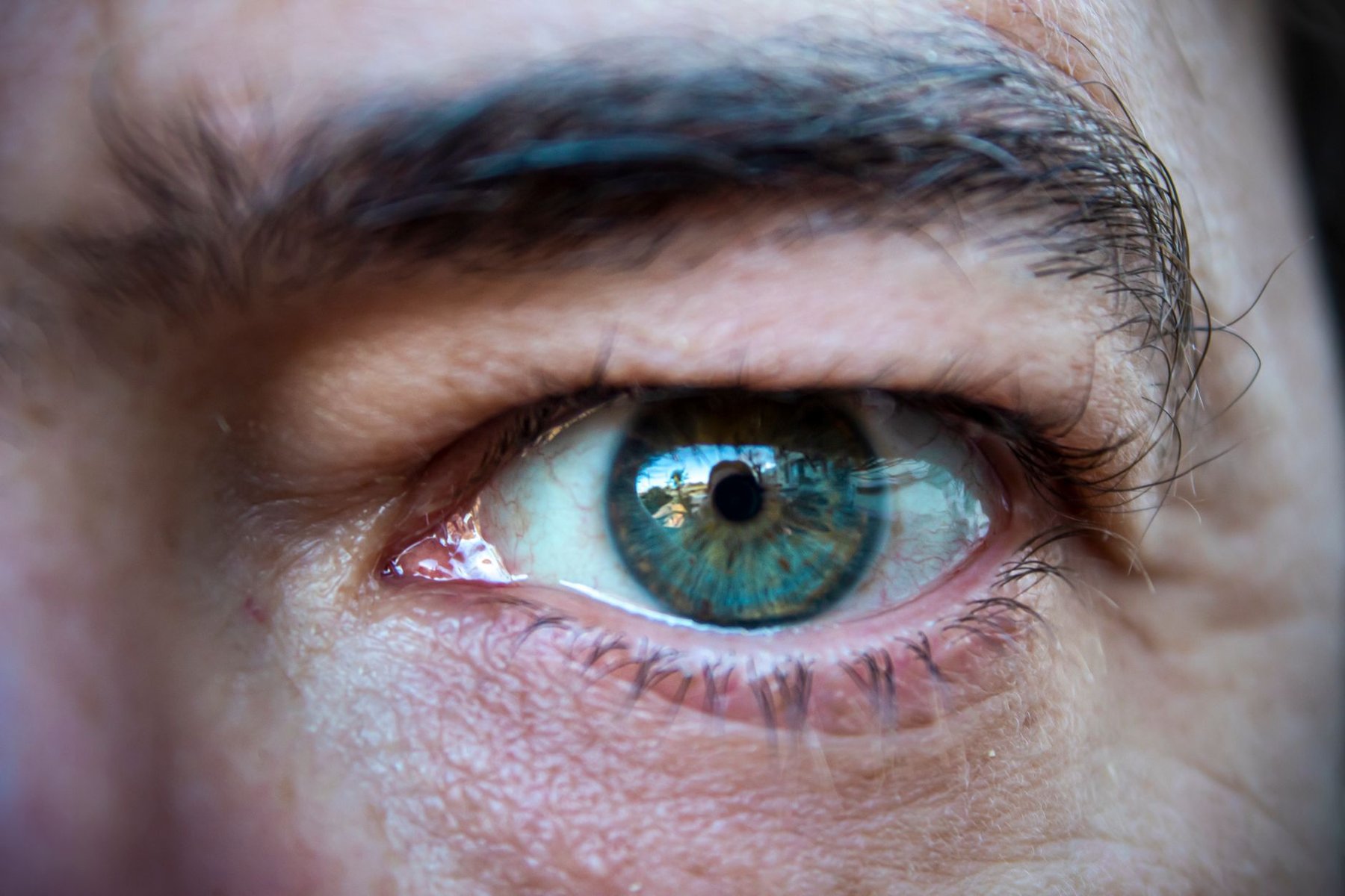 Detalle de un ojo humano, evaluación neuroftalmológica
